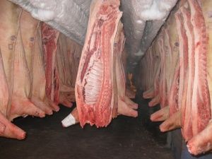 На мясокомбинате в Ярославской области нашли сомнительную продукцию